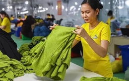 Vì sao doanh nghiệp Việt loay hoay ở giá trị thấp?