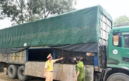 Phát hiện hơn 5 tấn lạp xưởng không rõ nguồn gốc chuẩn bị đưa về Hà Nội