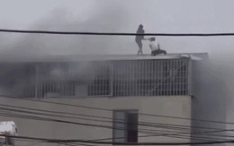 Người đàn ông kể giây phút bắc thang cứu 7 người trong vụ cháy ở Hà Nội: "Rất nguy hiểm nhưng tôi nghĩ phải cố gắng hết sức"