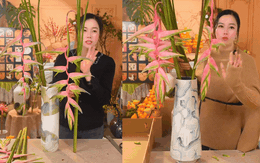 Trót mê mẩn vẻ đẹp của hoa thiên điểu rủ màu hồng: Nhớ kỹ 3 bảo bối này để hoa tươi cả tuần, cắm góc nào cũng nghệ thuật