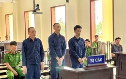 Cựu Chủ tịch, Tổng Giám đốc Công ty CP Xây dựng hạ tầng KCN Cần Thơ hầu tòa