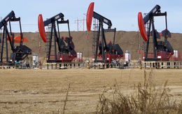 Không chỉ Nga, 2 ‘ông trùm’ dầu mỏ khác có trữ lượng tổng cộng 170 tỷ thùng đang ‘ngư ông đắc lợi’ giữa cuộc chiến ở Trung Đông