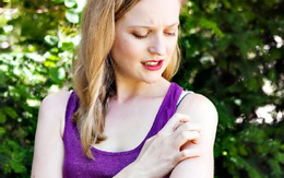 Câu nói 'người xinh đẹp thường thu hút muỗi' có hoàn toàn vô lý?