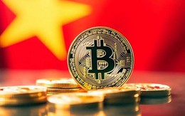 Bảo mật sàn tiền số còn khó hơn ngân hàng: Chuyên gia cảnh báo 'chỉ một sai sót, tài sản có thể biến mất trong tích tắc'