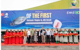 Vừa mua xong 1 triệu cổ phiếu, 'Thiếu gia' nhà vua cá rô phi Việt lại muốn gom thêm 1 triệu đơn vị ANV