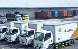 Vì sao Transimex không đáp ứng điều kiện công ty đại chúng?