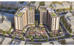 Tập đoàn Bắc Hà được giao đất làm dự án Nhà ở xã hội