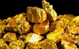 Một doanh nghiệp lên kế hoạch trả cổ tức "khủng" 11.900 đồng/cp, khai thác hàng tấn vàng năm 2026