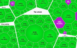Sóng bất động sản và chứng khoán quay trở lại?