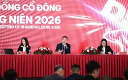 ĐHĐCĐ DNSE: Mục tiêu lợi nhuận tăng trên 60%, trả cổ tức tỷ lệ tối đa 7%