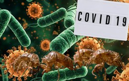 Biến thể COVID “Ve sầu” lây lan tại Mỹ, nguy cơ gây làn sóng dịch mới