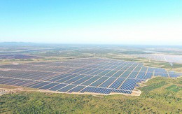 Xử phạt loạt doanh nghiệp nhóm Xuân Thiện