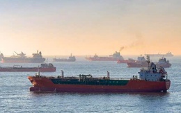 Triển khai các giải pháp đối với 19 tàu Việt Nam tại Trung Đông