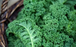 Mỹ công bố top 12 loại rau quả "ngậm" nhiều thuốc trừ sâu nhất 2026, bất ngờ với thứ ở vị trí đầu tiên