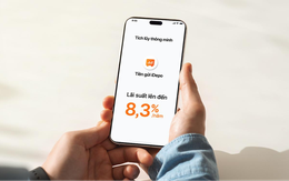 Tiền chờ tạo lợi nhuận mỗi ngày - Cách sản phẩm sinh lời VIB định nghĩa về tích lũy an toàn