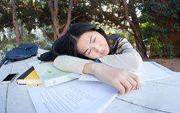 Tại sao có một số bộ phận sinh viên lên đại học lại sa sút?