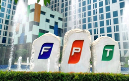 Thành viên SCIC chỉ mua vào 12,5% lượng cổ phiếu FPT đã đăng ký
