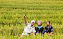 Không phải Bali hay Nhật Bản, Việt Nam "cứu rỗi" khách Tây theo cách chẳng ai ngờ tới