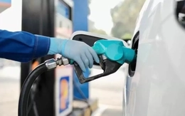 Hải Phòng xem xét miễn phí hạ tầng với mặt hàng xăng dầu