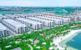 Tỉnh sát vách Hà Nội sắp có dự án gần 7.000 tỷ đồng, giáp Vinhomes Ocean Park của tỷ phú Phạm Nhật Vượng