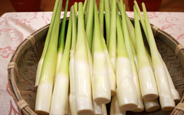 5 loại rau quen thuộc là “ổ chứa ký sinh trùng”: Mắt thường không thấy, nhiều người vẫn vô tư ăn sống