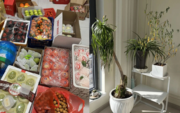 Dứt khoát vứt 5 "đống rác" trong nhà, cuộc sống tự khắc hanh thông, nhìn đâu cũng thấy cơ hội