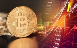 Thị trường tài sản số Việt Nam 2026: Dòng tiền sẽ đổi đường đi?