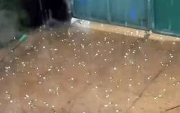 Hà Nội xuất hiện mưa đá