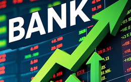 Một ngân hàng chuẩn bị triển khai trả cổ phiếu thưởng tỷ lệ 20%