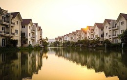 Một công ty địa ốc lãi 8,8 tỷ đồng