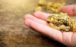 Công ty đào vàng số 1 Việt Nam báo lợi nhuận kỷ lục, kiểm toán nhấn mạnh một rủi ro