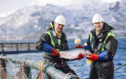 Bí quyết đứng sau vị thế hàng đầu của ngành cá hồi Na Uy