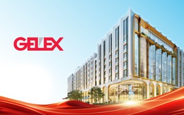 GELEX: Nhìn lại 5 năm kiến tạo nền tảng, chuẩn bị cho giai đoạn bứt phá mới