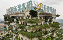 12 tỷ USD: Phép màu tài chính giúp ông lớn BĐS Trung Quốc từ cảnh suýt vỡ nợ tới báo lãi triệu USD