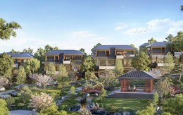 Bất động sản “giá trị thật”: Điểm tựa của dòng tiền trong chu kỳ thị trường nhiều biến số