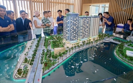 Vì sao bất động sản mũi vịnh hấp dẫn giới thượng lưu?