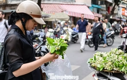 Hoa bưởi ngập phố Hà Nội, giá 'chát' vẫn đắt hàng