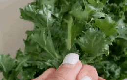 "Vua rau xanh" bán đầy chợ Việt, giàu chất xơ, càng ăn da càng đẹp, chị em đua nhau mua