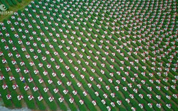 Đôi Dép - Khi con đường không có đèn đỏ