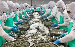 Doanh nghiệp xuất khẩu thủy sản ứng phó với căng thẳng tại Trung Đông