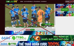Vụ "Xôi Lạc TV" phát sóng lậu, tổ chức đánh bạc: Danh tính 2 đối tượng cầm đầu