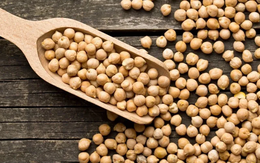 Loại hạt được mệnh danh là "thịt bò thượng hạng" của giới thực vật, có tác dụng ổn định đường huyết, bảo vệ mạch máu, cả gia đình đều có thể thưởng thức!