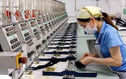 Người lao động không phải thực hiện quyết toán thuế TNCN trong trường hợp nào?