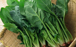 Tiểu thương chợ nói thật: 5 loại rau “đẹp long lanh” này tôi còn không dám ăn, nhiều người lại mua mỗi ngày