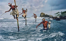 VinaCapital: Bất kỳ nhịp sụt giảm đáng kể nào của VN-Index đều là cơ hội mua vào