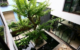 Ông bà dặn: Nhà xuất hiện 6 dấu hiệu này chứng tỏ rất lộc, càng ở càng lãi, tuyệt đối đừng bán