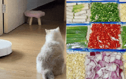 Tôi học cách dọn nhà của giới trẻ và nhận ra: Chỉ cần đổi tư duy, việc nhà giảm một nửa mà nhà vẫn gọn gàng mỗi ngày