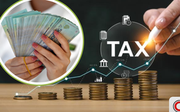 Cục Thuế thông báo nóng về chính sách thuế mới với hộ kinh doanh, cá nhân kinh doanh