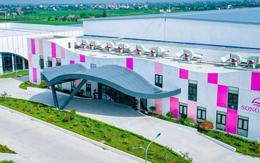 May Sông Hồng đặt mục tiêu lợi nhuận năm 2026 đạt 900 tỷ đồng