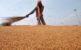 Căng thẳng Trung Đông: Lộ diện loạt mặt hàng tiếp theo bước vào chu kỳ tăng giá sau dầu thô